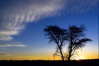 75DF7006_namibie2007.jpg