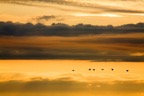 IMG_9817_vogels-sunset.jpg